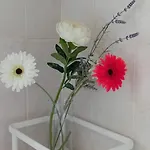 Appartement Torre - A Due Passi Dal Centro *