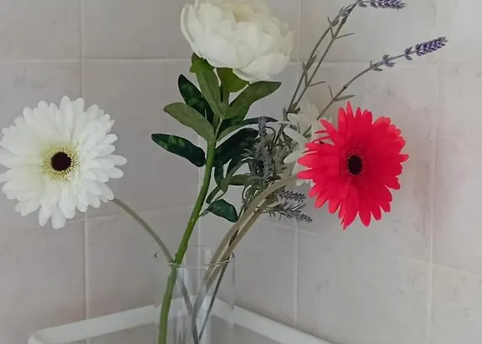 Apartment Torre - A Due Passi Dal Centro *